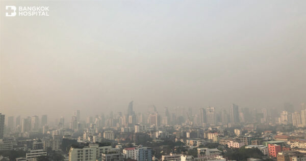 5 Wege, mit toxischem Staub umzugehen, die Sie weitergeben sollten Image