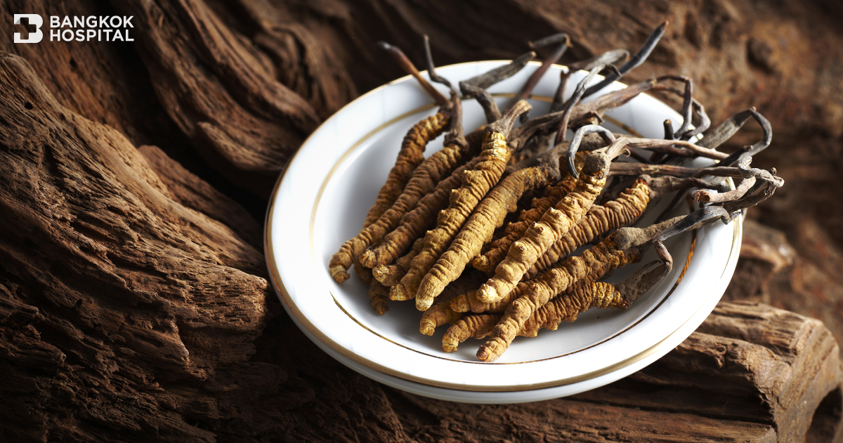 Cordyceps သည် ဆေး၏ဧကရာဇ်ဖြစ်သည်။