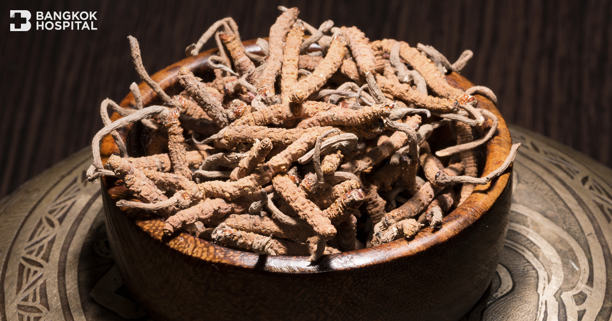 Cordyceps၊ ကိုယ်ခံအား မြှင့်တင်ပေးတယ်။