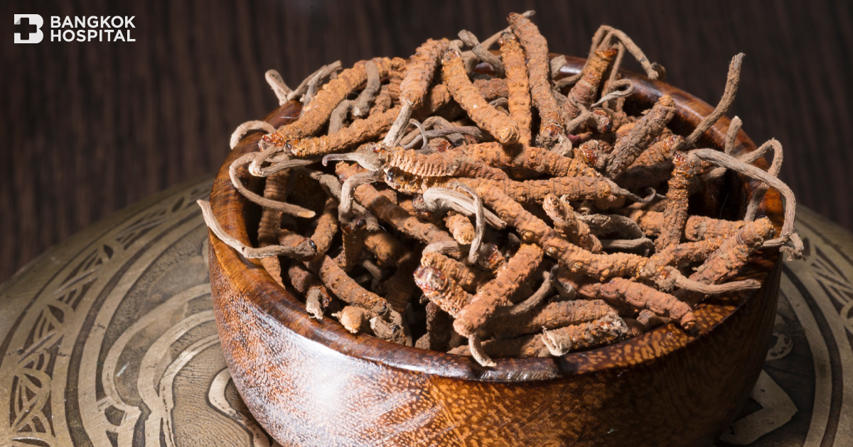 Cordyceps, the King of Chinese Herbs