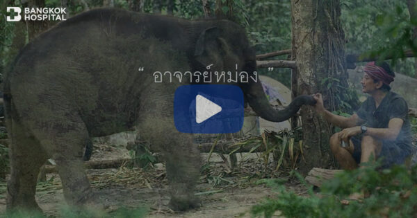 Leben-und-Tod von Bangkok Krankenhaus Genießen Sie die Bewegung Image