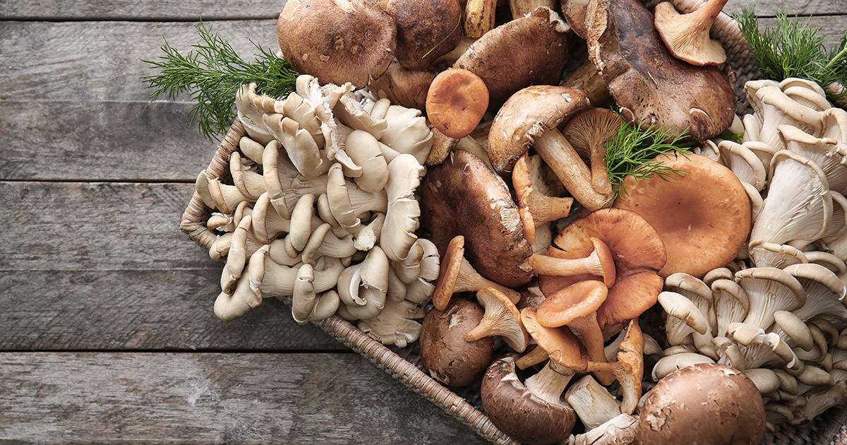 Can mushroom help treating leukemia?