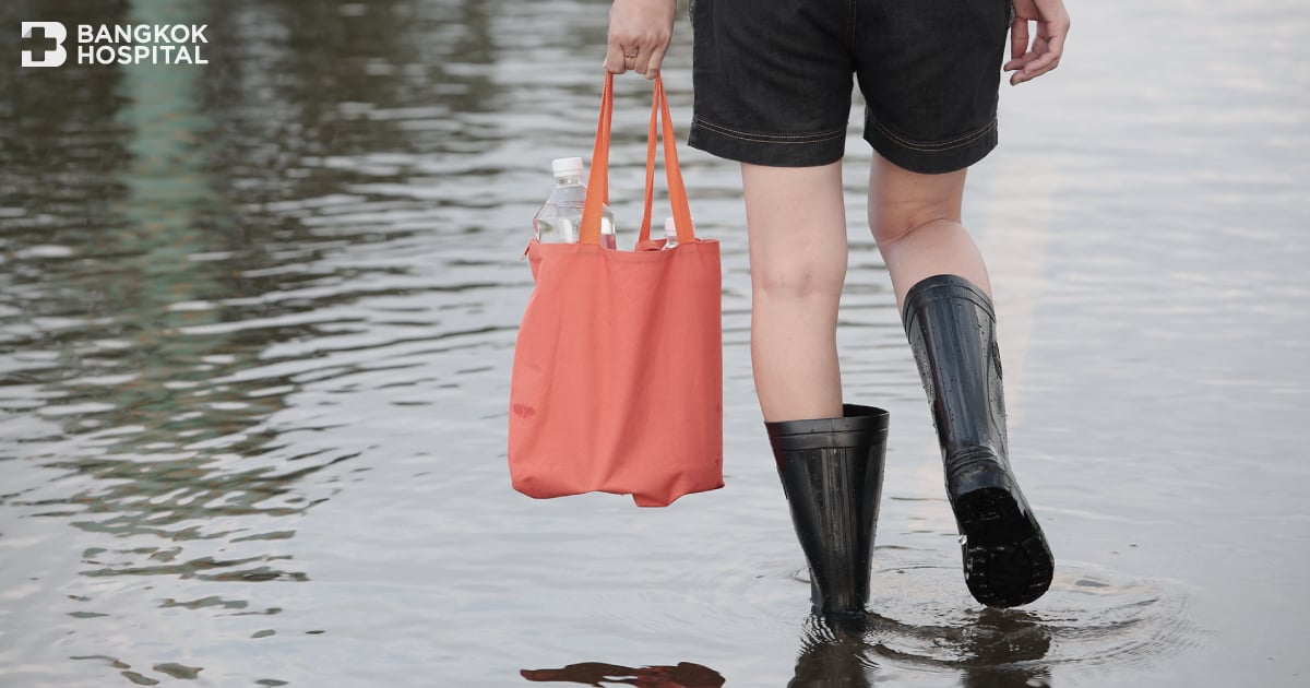 雨季の洪水時は、ネズミの尿に注意が必要です。