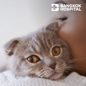 Campaign แพ็กเกจวัคซีนป้องกันโรคพิษสุนัขบ้า (แบบก่อนสัมผัสโรค) 2 เข็ม Image