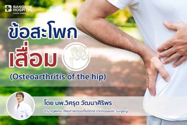 ข้อสะโพกเสื่อม (Osteoarthritis of the hip) Image