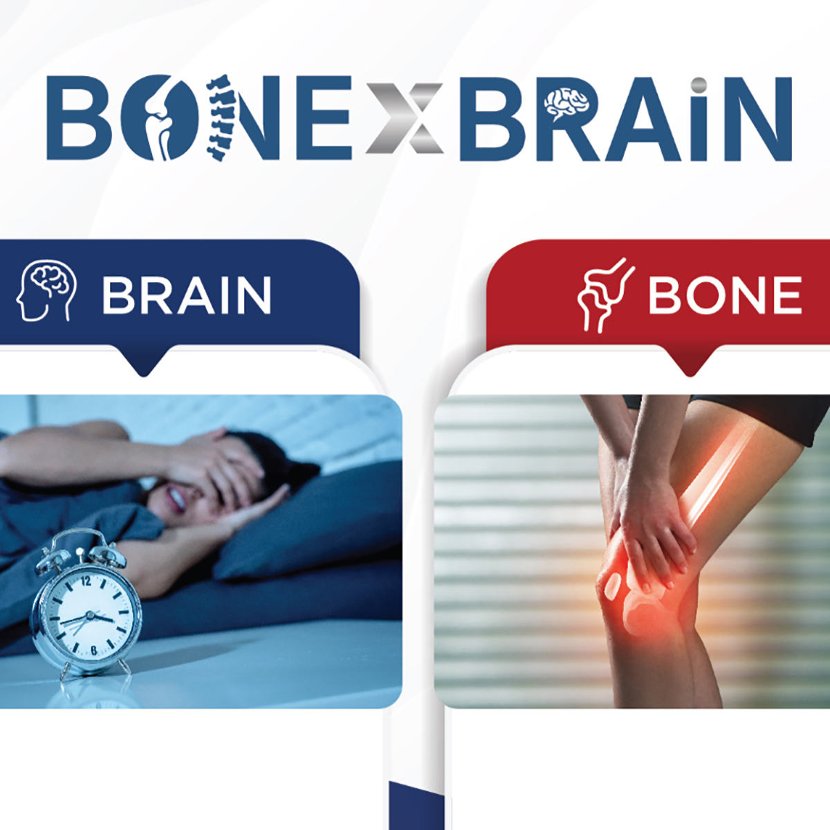 Bone&Brain スペシャル・パッケージ2025