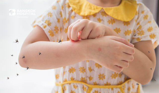 ไข้เลือดออก อันตรายจากยุงลาย..วายร้ายคลาชีวิต Image
