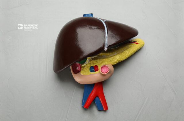 ป้องกันไวรัสตับอักเสบ A , B ด้วยวัคซีนก่อนร้ายแรง Image