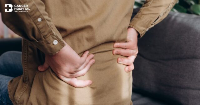 มะเร็งไต Image