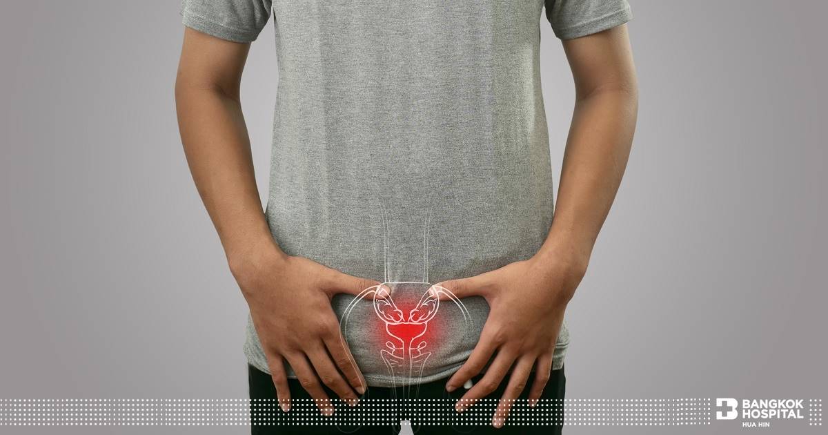 Doctor article image