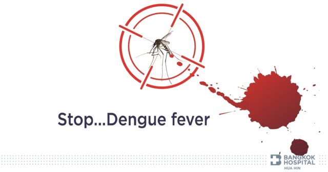 Dengue fever can be recurrent. Can we prevent it ?