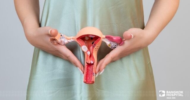 Minimally Invasive Gynecological Surgery Image