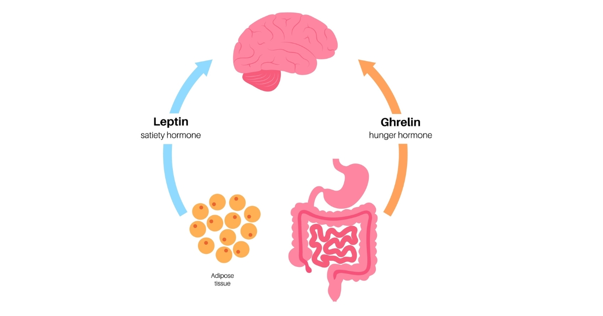 อ้วนเพราะฮอร์โมน ลดน้ำหนักยังไงก็ไม่ผอม