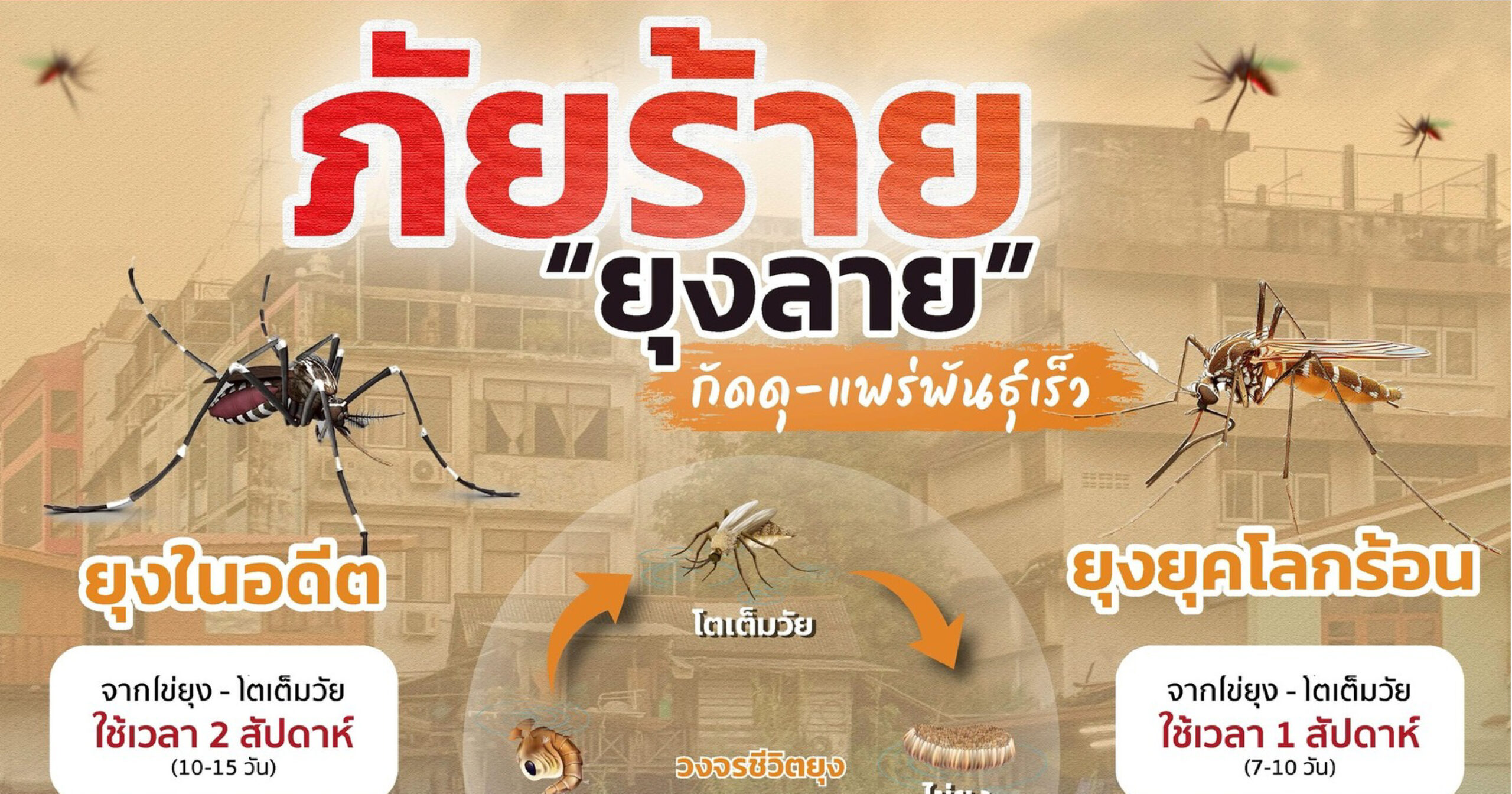 Global Warming Boosts Mosquito Breeding and Dengue Risk