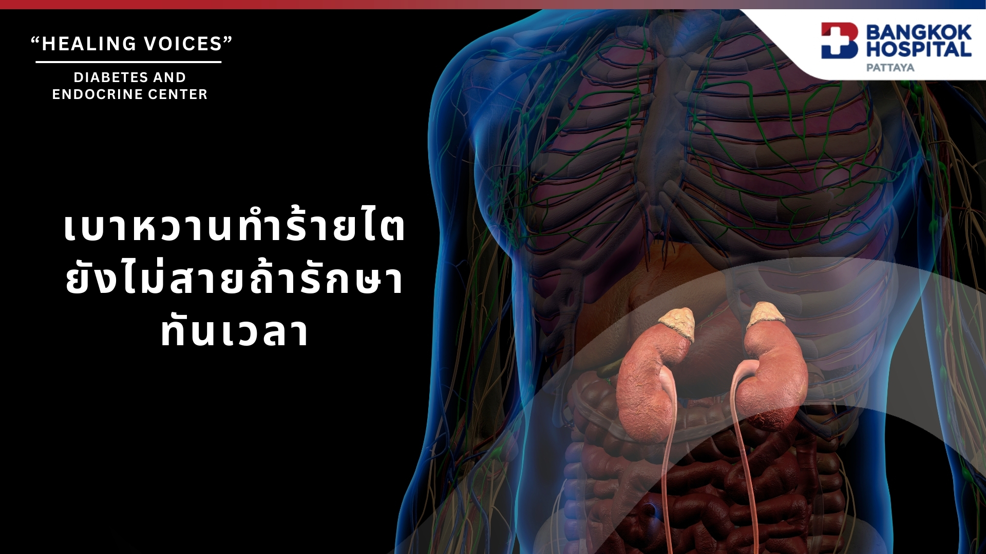 Doctor article image