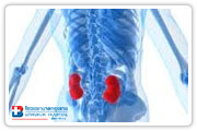 Kidney Disease Treatment