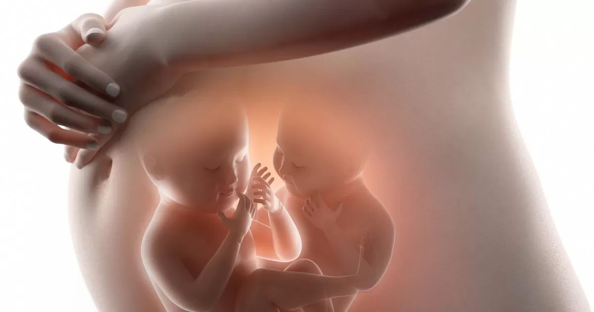 ชนิดของครรภ์แฝด 