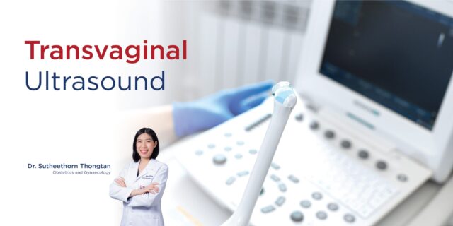 การอัลตร้าซาวด์ช่องคลอด (Transvaginal Ultrasound) Image