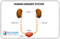 Urology Clinic