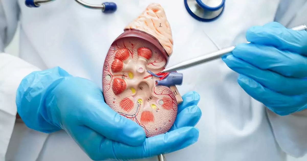 Doctor article image