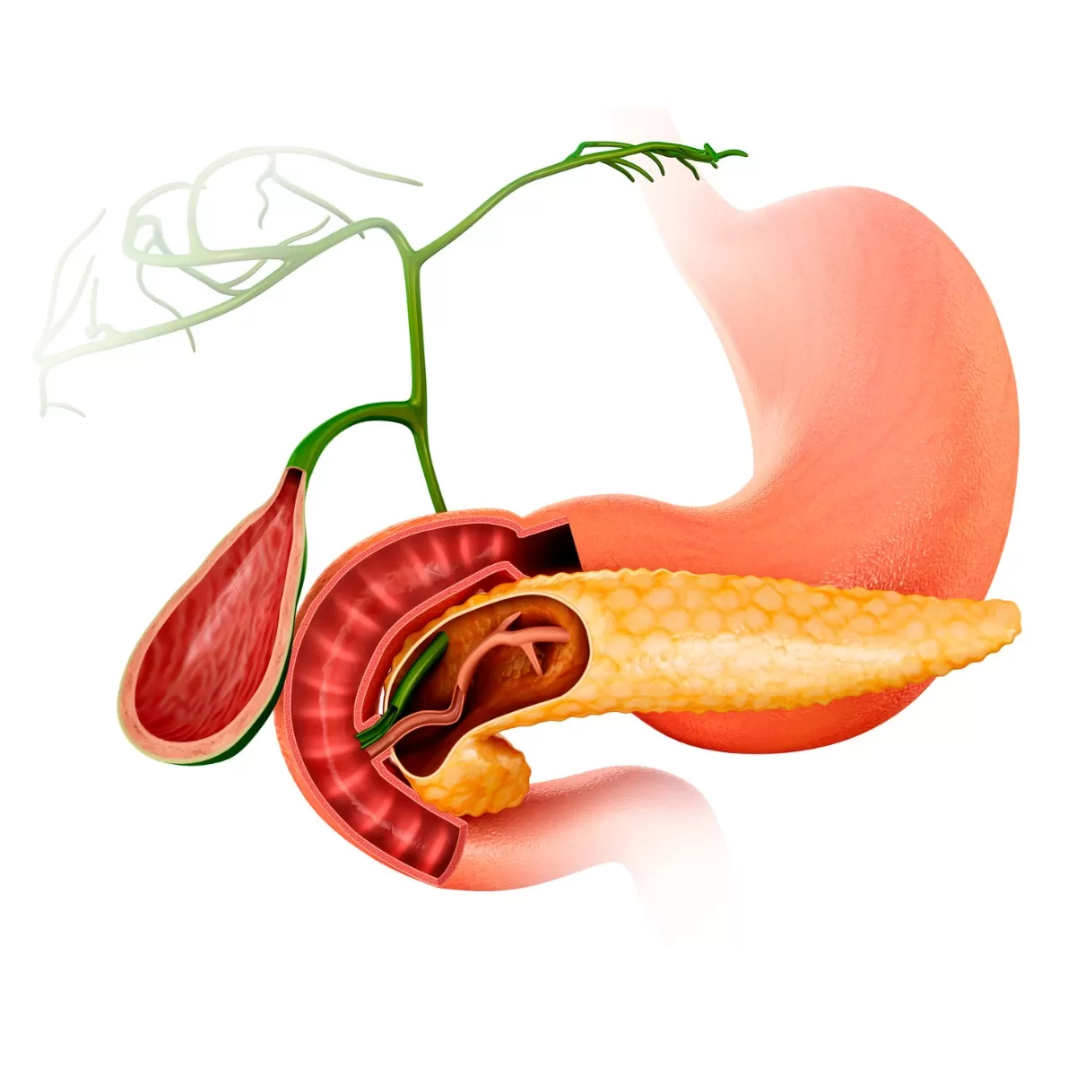 มะเร็งตับอ่อน สาเหตุ