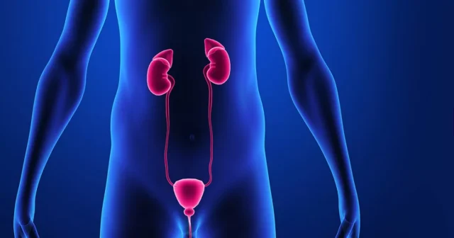 ภาวะไตวาย / โรคไตเรื้อรัง หมายถึงอะไร