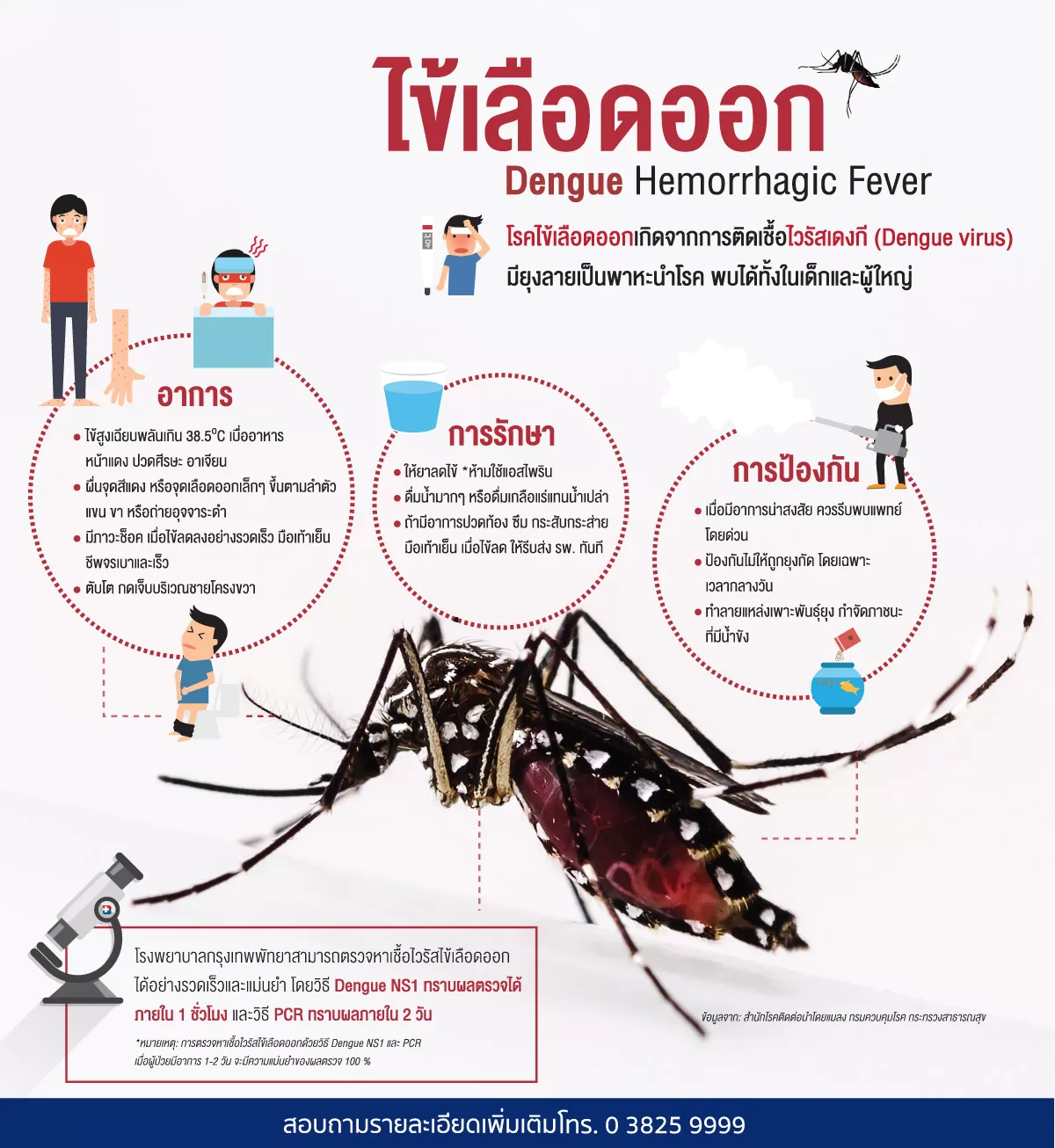 Dengue th
