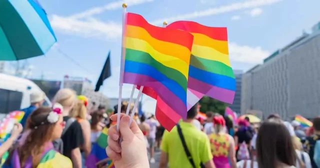 Pride Month Origins: The LGBTQ+ Journey Through History Image