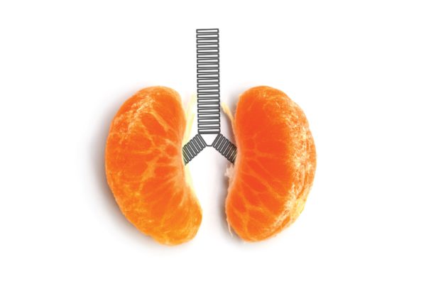 โรคไตอาการ เป็นอย่างไร โรคใกล้ตัวที่คนไทยเสี่ยงเป็นมากที่สุด โดย โรงพยาบาลกรุงเทพระยอง