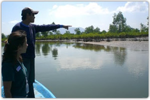 สำรวจพื้นที่ป่าชายเลนแปลงใหม่บริเวณปากคลองทุ่งมะพร้าว จ.พังงา