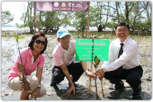 ปลูกต้นกล้าโกงกางบริเวณป่าชายเลนบ้านท่าหลา ต.ป่าคลอก อ.ถลาง จ.ภูเก็ต