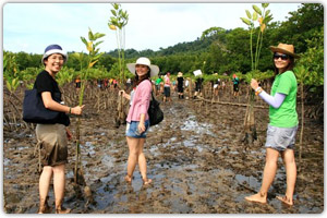 ปลูกต้นกล้าโกงกางบริเวณป่าชายเลนบ้านท่าหลา ต.ป่าคลอก อ.ถลาง จ.ภูเก็ต