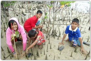 ปลูกต้นกล้าโกงกางบริเวณป่าชายเลนบ้านท่าหลา ต.ป่าคลอก อ.ถลาง จ.ภูเก็ต