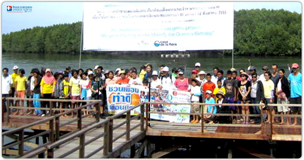 ปลูกป่าโกงกางปากคลองทุ่งมะพร้าว ต.ลำแก่น อ.ท้ายเหมือง จ.พังงา