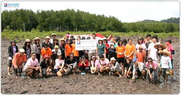 ปลูกต้นกล้าโกงกางบริเวณป่าชายเลนบ้านท่าหลา ต.ป่าคลอก อ.ถลาง จ.ภูเก็ต