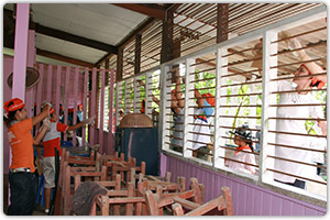 โครงการทาสีสดใสให้อาคารน้องๆ (ครั้งที่1) โรงเรียนแหลมพันวา จ.ภูเก็ต