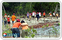 โครงการปลูกป่าโกงกาง 3 จังหวัดอันดามัน