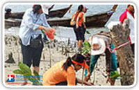 โครงการปลูกป่าโกงกาง 3 จังหวัดอันดามัน