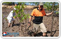 โครงการปลูกป่าโกงกาง 3 จังหวัดอันดามัน