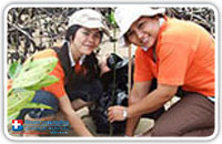 โครงการปลูกป่าโกงกาง 3 จังหวัดอันดามัน