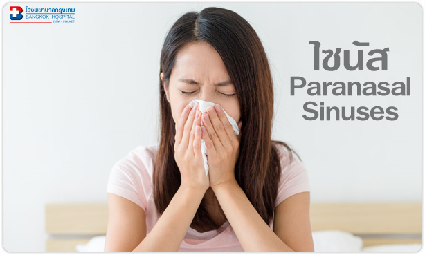 ไซนัส (Paranasal Sinuses)