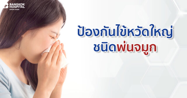 วัคซีนป้องกันไข้หวัดใหญ่  ชนิดพ่นจมูก ไม้ต้องฉีด Image