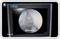 The diagnostic phase