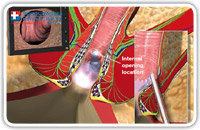 The diagnostic phase