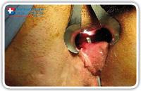 The diagnostic phase