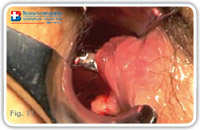 The diagnostic phase