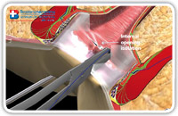 The diagnostic phase