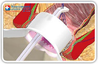 The diagnostic phase
