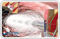 The diagnostic phase