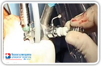 The diagnostic phase